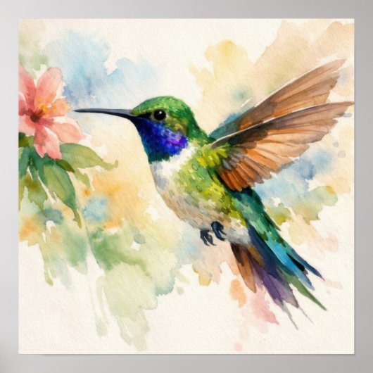 Aquarell Kolibri Poster (Vorne)