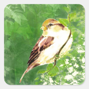 Aquarell-Lied-Spatzen-Vogel in der Waldkunst Quadratischer Aufkleber