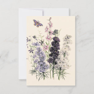 Aquarell Lila, Rosa Gartenblumen, Schmetterling  Karte
