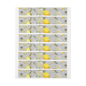 Aquarell-Limonen 19 (Bogen)