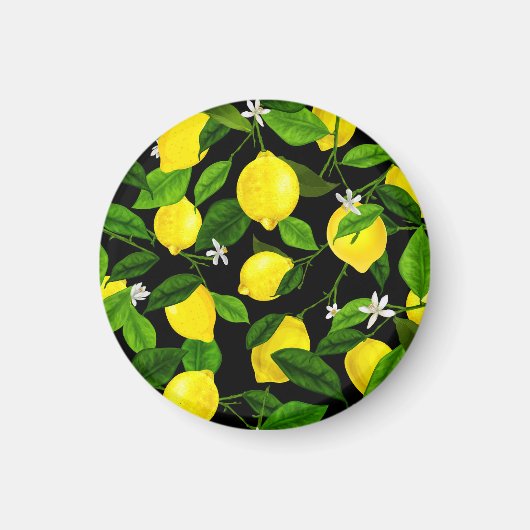 Aquarell-Limonen 2 Magnet (Vorne)