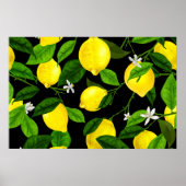 Aquarell-Limonen 2 Poster (Vorne)