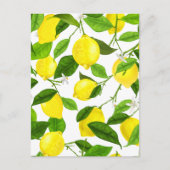Aquarell-Limonen Postkarte (Vorderseite)