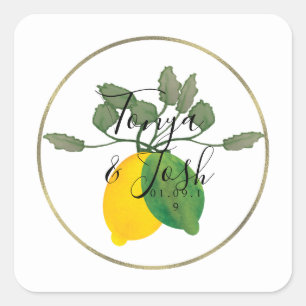 Aquarell-Limonen-Zitronen-Limoncello-Faux-Gold-Hoc Quadratischer Aufkleber