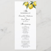 Aquarell-Limonien-Hochzeitsprogramm | Mediterran Menükarte (Vorderseite)