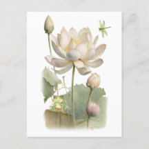 Aquarell-Lotusblumen, Frosch und Libelle