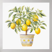 Aquarell Mediterrane Zitrusfrüchte Poster (Vorne)