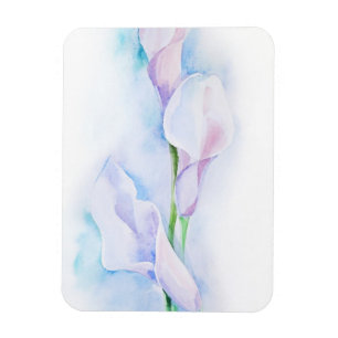 Aquarell mit 3 Callas Magnet