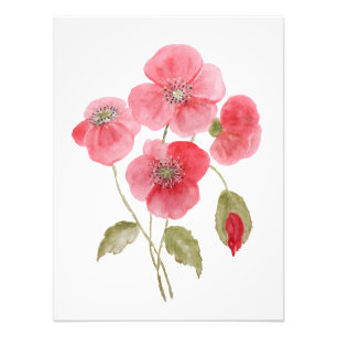Aquarell-Mohnblume Fotodruck