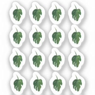 Aquarell Monstera Blatt Grün Sticker Set