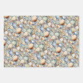 Aquarell-Muscheln Geschenkpapier Set (Vorderseite 3)