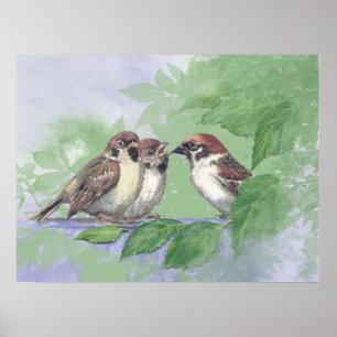 Aquarell-Mutter-Spatz füttert Küken Poster