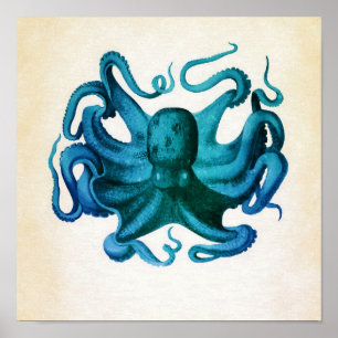 Aquarell-Oktopus-Illustration Poster
