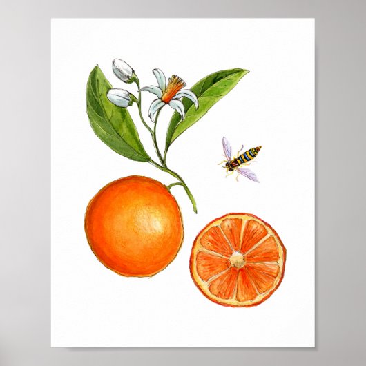 Aquarell Orange Frucht Botanisches Poster (Vorne)