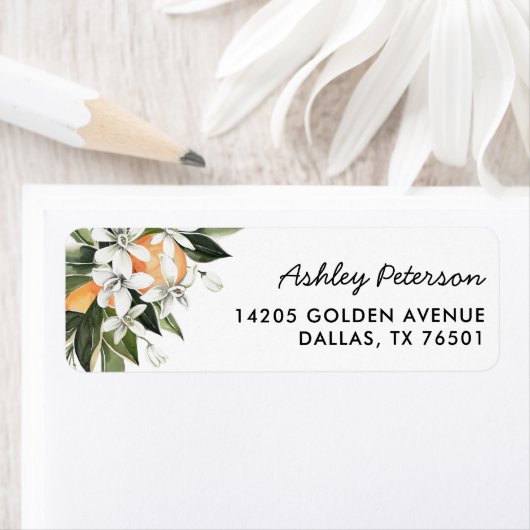 Aquarell Orange Süsse Babydusche (Insitu)