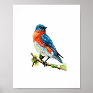 Aquarell-Ostblauevogel-Malerei Poster