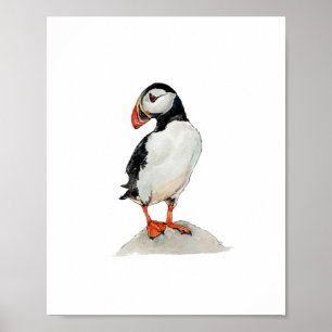 Aquarell-Papageientaucher-Vogelmalerei Poster