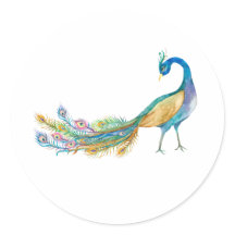 Aquarell-Pfau II