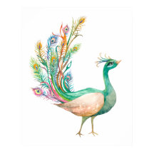 Aquarell-Pfau