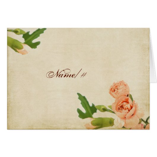 Aquarell-Pfirsich-Gartennelken-Ecken (Vorderseite (Horizontal))