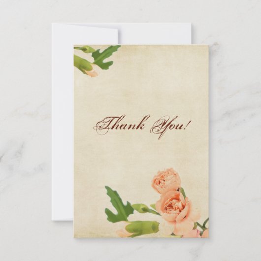 Aquarell-Pfirsich-Gartennelken-Ecken Dankeskarte (Vorderseite)