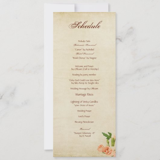 Aquarell-Pfirsich-Gartennelken-Ecken Einladung (Rückseite)