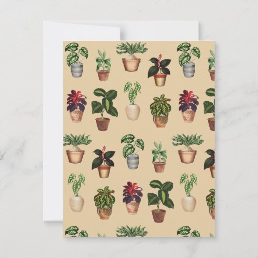 Aquarell Pflanze Terracotta Töpfe Name Mitteilungskarte (Rückseite)