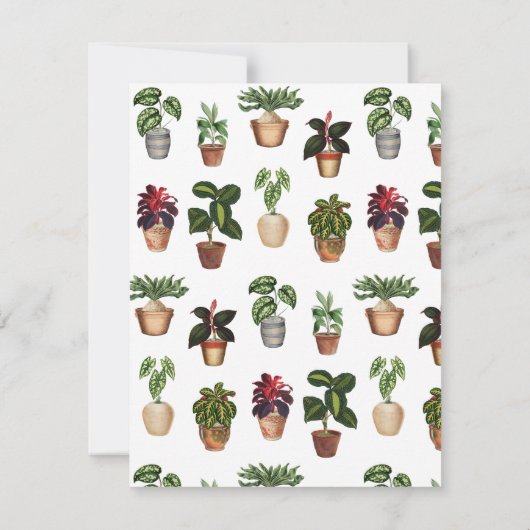 Aquarell Pflanze Terracotta Töpfe Name Mitteilungskarte (Rückseite)