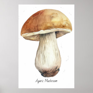 Aquarell-Pilz-Illustration Poster
