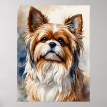 Aquarell-Porträt Pose süßer Shih Tzu Hund