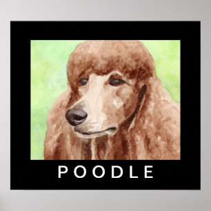 Aquarell-Pudel Poster