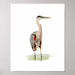 Aquarell-Reiher-Vogelmalerei Poster