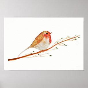 Aquarell-Robin-Vogel Poster