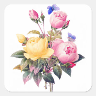 Aquarell-Rosen in Rosa und Gelb Botanik Vintage Quadratischer Aufkleber
