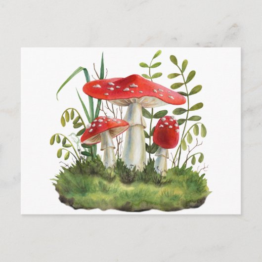 Aquarell Rote Wildwälder Pilze Postkarte (Vorderseite)