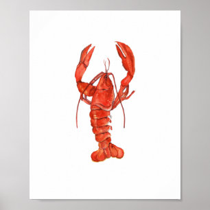 Aquarell-Roter-Hummer-Gemälde-Wandkunst Poster