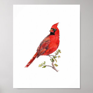 Aquarell Rotkardinal-Vogel-Malerei Poster