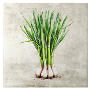 Aquarell-Rustikal-Schnittlauch-Attrappe-Textur Fliese