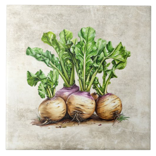 Aquarell-Rustikale Wasserrüben-Faux-Textur Fliese (Vorderseite)