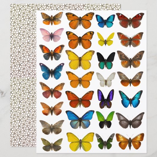 Aquarell-Schmetterling-Set für fusseligen Schnitt (Vorne/Hinten)