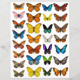Aquarell-Schmetterling-Set für fusseligen Schnitt