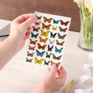 Aquarell-Schmetterling-Set für fusseliges Schneide Pergament Einladungen