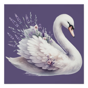Aquarell-Schwan mit Lavendelblüten Poster