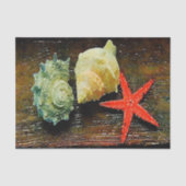 Aquarell Seashell Seashell Seashell Seidenpapier (Vorderseite)