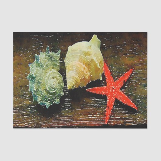 Aquarell Seashell Seashell Seashell Seidenpapier (Vorderseite)