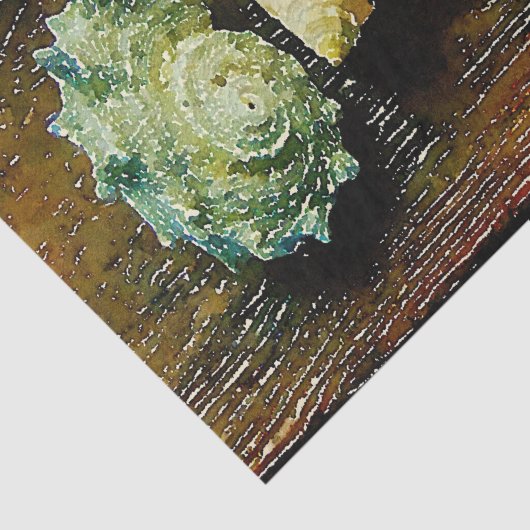 Aquarell Seashell Seashell Seashell Seidenpapier (Ausschnitt)