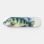 Aquarell-Serie: Barsch Skateboard (Horizontal)