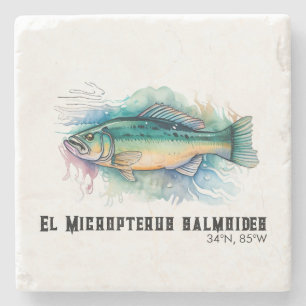 Aquarell-Serie: Bass Steinuntersetzer