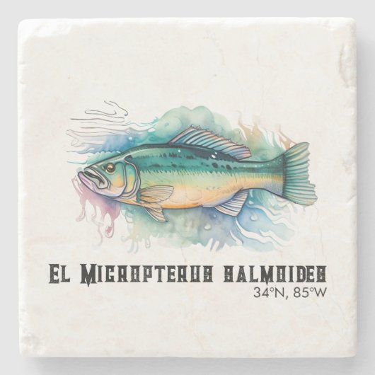 Aquarell-Serie: Bass Steinuntersetzer (Vorderseite)