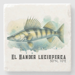 Aquarell-Serie: Zander/Walleye Steinuntersetzer